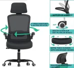 ergonomic office chair, adjustable office chair, mesh office chair, executive office chair, leather office chair, swivel office chair, high back office chair, office chair with lumbar support, reclining office chair, office chair with headrest, rolling office chair, computer chair, office desk chair, gaming office chair, office chair with wheels, breathable office chair, modern office chair, office chair with arms, task chair, ergonomic desk chair, heavy duty office chair, office chair for home, stylish office chair, office chair with footrest, office chair for long hours, posture office chair, compact office chair, armless office chair, luxury office chair, office chair with adjustable height, white office chair, black office chair, brown office chair, office chair for small spaces, best office chair for back pain, orthopedic office chair, comfortable office chair, tall office chair, mid back office chair, office chair for hardwood floors, noiseless office chair, quiet office chair wheels, office chair with tilt function, budget office chair, premium office chair, office chair with cushion, eco-friendly office chair, office chair with mesh back, mesh back support chair, office chair for productivity, rolling desk chair, supportive office chair, office chair with neck support, durable office chair, high quality office chair, designer office chair, professional office chair, office chair for executives, ergonomic mesh chair, office chair for tall people, small office chair, oversized office chair, ergonomic seating chair, reclining desk chair, office chair for students, computer ergonomic chair, fabric office chair, office chair with breathable mesh, space-saving office chair, adjustable lumbar office chair, office chair for programmers, office chair for writers, office chair for artists, office chair for engineers, minimalist office chair, multifunction office chair, ergonomic posture chair, computer task chair, adjustable back support chair, ergonomic swivel chair, height adjustable chair, office chair with wheels for carpet, office chair with locking wheels, stylish desk chair, rolling computer chair, workstation chair, best office chair 2025, trending office chair, commercial office chair, office chair with backrest, office chair without wheels, stationary office chair, conference room chair, boardroom chair, office chair with memory foam, ergonomic chair with headrest, adjustable tilt office chair, office chair for lower back pain, knee support office chair, portable office chair, easy assembly office chair, quick setup office chair, no-tools assembly office chair, tech-friendly office chair, USB charging office chair, office chair with USB port, office chair with phone holder, mobile office chair, hybrid work office chair, laptop-friendly office chair, supportive cushion chair, breathable desk chair, ergonomic backrest chair, cooling mesh chair, workplace chair, adjustable office seating, rolling ergonomic chair, padded office chair, executive mesh chair, ergonomic leather chair, gaming executive chair, luxury mesh office chair, ergonomic office throne, high-end office chair, productivity boosting chair, therapeutic office chair, customizable office chair, personalized office chair, smart office chair, AI-enhanced office chair, office chair with sensors, office chair for posture correction, orthopedic mesh chair, office chair for pain relief, back-friendly office chair, joint-friendly office chair, ergonomic tech chair, posture alignment chair, daily use office chair, ergonomic comfort chair, advanced ergonomic chair, clean design office chair, aesthetic office chair, space-efficient desk chair, rolling workstation chair, home office chair, contemporary office chair, performance office chair, supportive ergonomic chair, fully adjustable chair, extra cushioned chair, spring-loaded chair, premium mesh chair, anti-fatigue office chair, tilt tension office chair, dynamic support chair, sustainable office chair, green office chair, recycled material office chair, carbon neutral office chair, vegan leather office chair, cruelty-free office chair, non-toxic office chair, modern design chair, sleek office chair, futuristic office chair, curved back office chair, spinal support office chair, align posture chair, firm seat office chair, soft seat office chair, cushioned mesh chair, orthopedic executive chair, dual support office chair, ergonomic armrest chair, chair with adjustable armrests, flip-up armrest chair, padded armrest chair, memory foam seat chair, ventilated office chair, breathable ergonomic chair, chair with back support, office chair for all-day use, ergonomic office seating, functional office chair, tilt back chair, reclining ergonomic chair, lockable tilt chair, tilt tension adjustment chair, rotating office chair, spinning desk chair, office chair for carpet, chair for hardwood floor, silent office chair, quiet glide chair, durable wheels office chair, reinforced frame office chair, heavy weight capacity chair, office chair for plus size, petite office chair, ergonomic small space chair, budget-friendly office chair, affordable ergonomic chair, value office chair, economy desk chair, best-selling office chair, popular office chair, highly rated office chair, customer favorite chair, reviewed ergonomic chair, office chair with good reviews, best rated desk chair, editor’s pick office chair, stylish home chair, elegant office chair, office chair with ergonomic rating, multi-adjustable office chair, task seating, office task chair, casual office chair, start-up office chair, creative workspace chair, minimalist desk chair, ergonomic sitting solution, hybrid desk chair, adjustable height chair, desk chair with back support, ergonomic back design chair, workstation seating, comfortable sitting chair, ergonomic cushion chair, posture perfect chair, seat with lumbar support, desk chair for pain relief, chair for desk job, daily work chair, best comfort office chair, orthopedic cushion chair, smart cushion office chair, temperature regulating chair, air flow desk chair, ventilated mesh chair, mesh executive chair, chair with breathable fabric, ergonomic mesh back chair, adjustable seat chair, locking tilt desk chair, supportive headrest chair, ergonomic back curve chair, office chair with spine support, healthy posture chair, chair for long sitting hours, productivity desk chair, focused work chair, home workspace chair, ergonomic design chair, quality mesh office chair, tailored comfort chair, ergonomic user-friendly chair, health-conscious office chair, desk seat with backrest, task-oriented office chair, comfort seat office chair, body-aligning office chair, orthopedic backrest chair, wellness-focused office chair, energy-efficient office chair, adjustable seating system, seat height adjustable chair, ergonomic arm design chair, balance support chair, even weight distribution chair, dynamic posture office chair, office chair with lumbar pillow, back support cushion chair, ergonomic office gear, productivity chair, lumbar alignment office chair, enhanced comfort desk chair, office chair for health, wellness seat chair, hybrid work-friendly chair, chair for video calls, ergonomic telework chair, motion office chair, fluid motion chair, ergonomic rocking chair, adaptive office chair, advanced support desk chair, pro comfort chair, certified ergonomic chair, office chair with certifications, ANSI certified office chair, BIFMA approved office chair, high efficiency office chair, ISO certified desk chair, best ergonomic features chair, customizable support office chair, modular design chair, component-based office chair, ergonomic for tall users chair, adjustable depth seat chair, long hours office chair, 8-hour use office chair, day-long support chair, fatigue-reducing desk chair, pain prevention office chair, anti-strain office chair, no back pain office chair, optimized posture chair, ergonomic workstation chair, productivity-boosting desk chair.