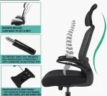 ergonomic office chair, adjustable office chair, mesh office chair, executive office chair, leather office chair, swivel office chair, high back office chair, office chair with lumbar support, reclining office chair, office chair with headrest, rolling office chair, computer chair, office desk chair, gaming office chair, office chair with wheels, breathable office chair, modern office chair, office chair with arms, task chair, ergonomic desk chair, heavy duty office chair, office chair for home, stylish office chair, office chair with footrest, office chair for long hours, posture office chair, compact office chair, armless office chair, luxury office chair, office chair with adjustable height, white office chair, black office chair, brown office chair, office chair for small spaces, best office chair for back pain, orthopedic office chair, comfortable office chair, tall office chair, mid back office chair, office chair for hardwood floors, noiseless office chair, quiet office chair wheels, office chair with tilt function, budget office chair, premium office chair, office chair with cushion, eco-friendly office chair, office chair with mesh back, mesh back support chair, office chair for productivity, rolling desk chair, supportive office chair, office chair with neck support, durable office chair, high quality office chair, designer office chair, professional office chair, office chair for executives, ergonomic mesh chair, office chair for tall people, small office chair, oversized office chair, ergonomic seating chair, reclining desk chair, office chair for students, computer ergonomic chair, fabric office chair, office chair with breathable mesh, space-saving office chair, adjustable lumbar office chair, office chair for programmers, office chair for writers, office chair for artists, office chair for engineers, minimalist office chair, multifunction office chair, ergonomic posture chair, computer task chair, adjustable back support chair, ergonomic swivel chair, height adjustable chair, office chair with wheels for carpet, office chair with locking wheels, stylish desk chair, rolling computer chair, workstation chair, best office chair 2025, trending office chair, commercial office chair, office chair with backrest, office chair without wheels, stationary office chair, conference room chair, boardroom chair, office chair with memory foam, ergonomic chair with headrest, adjustable tilt office chair, office chair for lower back pain, knee support office chair, portable office chair, easy assembly office chair, quick setup office chair, no-tools assembly office chair, tech-friendly office chair, USB charging office chair, office chair with USB port, office chair with phone holder, mobile office chair, hybrid work office chair, laptop-friendly office chair, supportive cushion chair, breathable desk chair, ergonomic backrest chair, cooling mesh chair, workplace chair, adjustable office seating, rolling ergonomic chair, padded office chair, executive mesh chair, ergonomic leather chair, gaming executive chair, luxury mesh office chair, ergonomic office throne, high-end office chair, productivity boosting chair, therapeutic office chair, customizable office chair, personalized office chair, smart office chair, AI-enhanced office chair, office chair with sensors, office chair for posture correction, orthopedic mesh chair, office chair for pain relief, back-friendly office chair, joint-friendly office chair, ergonomic tech chair, posture alignment chair, daily use office chair, ergonomic comfort chair, advanced ergonomic chair, clean design office chair, aesthetic office chair, space-efficient desk chair, rolling workstation chair, home office chair, contemporary office chair, performance office chair, supportive ergonomic chair, fully adjustable chair, extra cushioned chair, spring-loaded chair, premium mesh chair, anti-fatigue office chair, tilt tension office chair, dynamic support chair, sustainable office chair, green office chair, recycled material office chair, carbon neutral office chair, vegan leather office chair, cruelty-free office chair, non-toxic office chair, modern design chair, sleek office chair, futuristic office chair, curved back office chair, spinal support office chair, align posture chair, firm seat office chair, soft seat office chair, cushioned mesh chair, orthopedic executive chair, dual support office chair, ergonomic armrest chair, chair with adjustable armrests, flip-up armrest chair, padded armrest chair, memory foam seat chair, ventilated office chair, breathable ergonomic chair, chair with back support, office chair for all-day use, ergonomic office seating, functional office chair, tilt back chair, reclining ergonomic chair, lockable tilt chair, tilt tension adjustment chair, rotating office chair, spinning desk chair, office chair for carpet, chair for hardwood floor, silent office chair, quiet glide chair, durable wheels office chair, reinforced frame office chair, heavy weight capacity chair, office chair for plus size, petite office chair, ergonomic small space chair, budget-friendly office chair, affordable ergonomic chair, value office chair, economy desk chair, best-selling office chair, popular office chair, highly rated office chair, customer favorite chair, reviewed ergonomic chair, office chair with good reviews, best rated desk chair, editor’s pick office chair, stylish home chair, elegant office chair, office chair with ergonomic rating, multi-adjustable office chair, task seating, office task chair, casual office chair, start-up office chair, creative workspace chair, minimalist desk chair, ergonomic sitting solution, hybrid desk chair, adjustable height chair, desk chair with back support, ergonomic back design chair, workstation seating, comfortable sitting chair, ergonomic cushion chair, posture perfect chair, seat with lumbar support, desk chair for pain relief, chair for desk job, daily work chair, best comfort office chair, orthopedic cushion chair, smart cushion office chair, temperature regulating chair, air flow desk chair, ventilated mesh chair, mesh executive chair, chair with breathable fabric, ergonomic mesh back chair, adjustable seat chair, locking tilt desk chair, supportive headrest chair, ergonomic back curve chair, office chair with spine support, healthy posture chair, chair for long sitting hours, productivity desk chair, focused work chair, home workspace chair, ergonomic design chair, quality mesh office chair, tailored comfort chair, ergonomic user-friendly chair, health-conscious office chair, desk seat with backrest, task-oriented office chair, comfort seat office chair, body-aligning office chair, orthopedic backrest chair, wellness-focused office chair, energy-efficient office chair, adjustable seating system, seat height adjustable chair, ergonomic arm design chair, balance support chair, even weight distribution chair, dynamic posture office chair, office chair with lumbar pillow, back support cushion chair, ergonomic office gear, productivity chair, lumbar alignment office chair, enhanced comfort desk chair, office chair for health, wellness seat chair, hybrid work-friendly chair, chair for video calls, ergonomic telework chair, motion office chair, fluid motion chair, ergonomic rocking chair, adaptive office chair, advanced support desk chair, pro comfort chair, certified ergonomic chair, office chair with certifications, ANSI certified office chair, BIFMA approved office chair, high efficiency office chair, ISO certified desk chair, best ergonomic features chair, customizable support office chair, modular design chair, component-based office chair, ergonomic for tall users chair, adjustable depth seat chair, long hours office chair, 8-hour use office chair, day-long support chair, fatigue-reducing desk chair, pain prevention office chair, anti-strain office chair, no back pain office chair, optimized posture chair, ergonomic workstation chair, productivity-boosting desk chair.