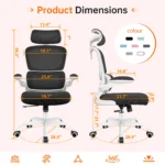 Mesh Ergonomic Desk Chair, mesh ergonomic desk chair, ergonomic office chair, mesh office chair, ergonomic desk chair, mesh task chair, office swivel chair, breathable mesh chair, adjustable office chair, ergonomic workstation chair, mesh computer chair, office desk seating, ergonomic lumbar support chair, modern office chair, executive mesh chair, office task seating, ergonomic work chair, mesh back office chair, adjustable desk chair, professional office chair, comfortable office chair, office furniture chair, mesh swivel chair, ergonomic seating solution, office computer chair, high back mesh chair, adjustable ergonomic chair, mesh workstation seating, office productivity chair, breathable task chair, ergonomic office seating, mesh manager chair, ergonomic computer chair, office chair with lumbar support, mesh executive chair, workstation desk chair, commercial office chair, mesh ergonomic seating, adjustable mesh chair, office chair with wheels, professional workstation chair, mesh support chair, ergonomic task seating, office chair for long hours, breathable office seating