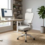 Executive Orthopedic Office Chair with Footrest, Ergonomic Office Chair, Orthopedic Office Chair, Executive Office Chair, Office Chair with Footrest, Adjustable Office Chair, High Back Office Chair, Comfortable Office Chair, Premium Executive Chair, Luxury Office Chair, Professional Office Chair, Ergonomic Executive Chair, Lumbar Support Office Chair, Office Chair with Back Support, Reclining Office Chair, Swivel Office Chair, Height Adjustable Office Chair, Padded Executive Chair, Office Chair with Headrest, Office Chair with Leg Rest, Executive Computer Chair, Manager Office Chair, Director Office Chair, CEO Office Chair, Heavy Duty Office Chair, Modern Office Furniture, Premium Office Furniture, Comfortable Work Chair, Posture Support Office Chair, Office Seating Solutions, Home Office Chair, Gaming Style Office Chair, Office Chair for Long Hours, Durable Office Chair, Quality Executive Seating, Office Furniture Kenya, Executive Office Chair Kenya, Ergonomic Chair Kenya, Orthopedic Chair Kenya, Office Chairs Nairobi, Executive Chairs Nairobi, Ergonomic Office Chairs Nairobi, Orthopedic Office Chairs Nairobi, Office Furniture Nairobi, Office Seating Nairobi, Office Furniture Suppliers Kenya, Office Chair Shop Nairobi, Office Furniture Store Nairobi, Executive Furniture Kenya, Office Chairs Kenya, Premium Office Chairs Kenya, Affordable Office Chairs Nairobi, Modern Office Furniture Nairobi, Business Office Chairs Kenya, Corporate Office Furniture Kenya, Office Chairs in Nairobi CBD, Westlands Office Furniture, Kilimani Office Furniture, Lavington Office Furniture, Karen Office Furniture, Parklands Office Furniture, Runda Office Furniture, Kileleshwa Office Furniture, Upper Hill Office Furniture, South B Nairobi, South C Nairobi, Industrial Area Nairobi, Thika Road Nairobi, Kiambu Office Furniture, Mombasa Office Chairs, Kisumu Office Chairs, Nakuru Office Chairs, Eldoret Office Chairs, Kenya Office Solutions, Executive Seating Solutions Kenya, Office Chair Delivery Nairobi, Buy Executive Office Chair Kenya, Office Chair with Footrest Nairobi, Reclining Office Chair Kenya, Ergonomic Seating Solutions Nairobi, Professional Workspace Furniture, Comfortable Office Seating Kenya, High Quality Office Chairs Nairobi, Office Furniture Deals Kenya, Modern Executive Chair Nairobi, Office Chair for Managers Kenya, Office Chair for Directors Kenya, Office Chair for Home Office Kenya